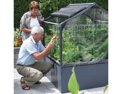 Carré potager avec serre Basic air (Longueur 120 cm)