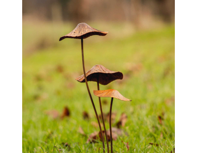 Champignon sur pic en métal rouillé (Modèle S)