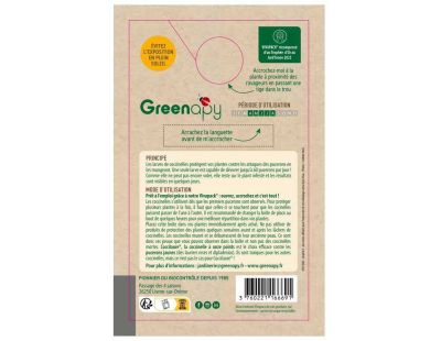 Coccilaure anti-pucerons des lauriers roses et plantes basses (30 larves)