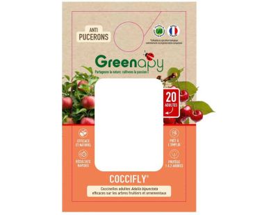 Coccinnelles anti-pucerons Coccifly (boîte de 20 adultes)