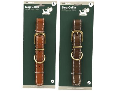 Collier en polyuréthane pour chien (Lot de 2) (L - 53 cm)