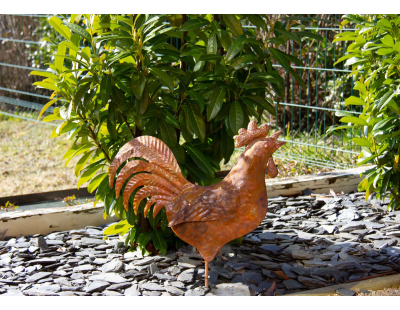 Coq en métal rouillé