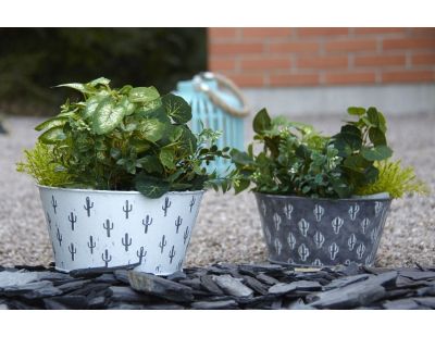 Corbeille cactus métal patiné (Lot de 2)
