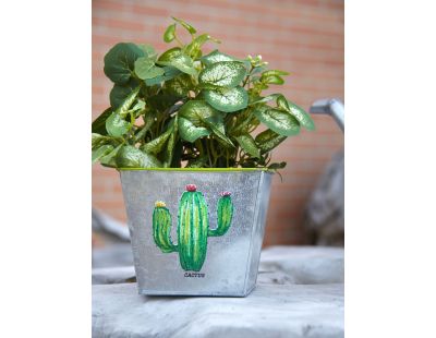 Corbeille carré en métal galvanisé Cactus
