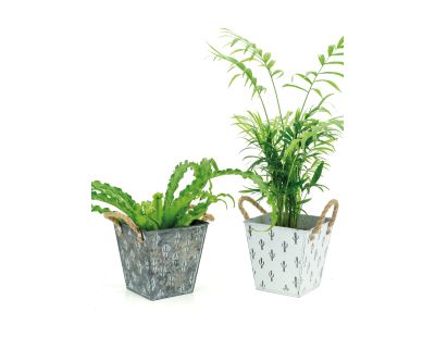 Corbeille carrée en métal cactus (Lot de 2)
