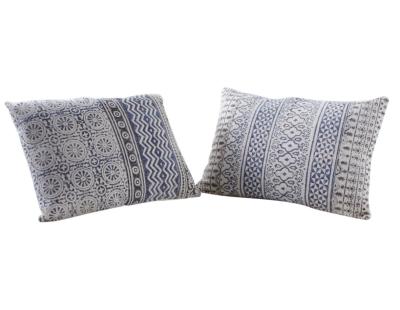 Coussin bleu et blanc en coton (50 x 50 cm - Lot de 2)