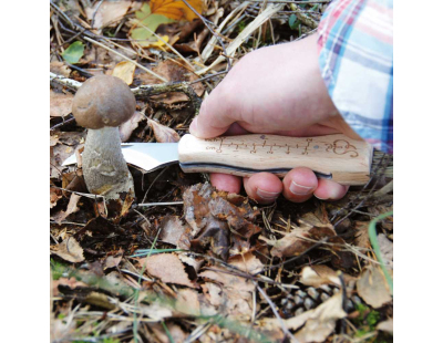 Couteau à champignons en acier inoxydable avec brosse