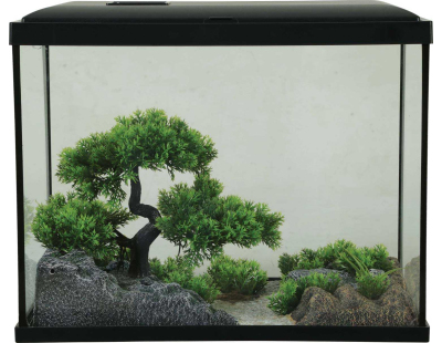 Décor complet pour aquarium 35 cm Landscape (Arbre)