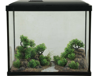 Décor complet pour aquarium 30 cm Landscape (Chemin et rochers)