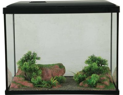 Décor complet pour aquarium 35 cm Landscape (Sol rouge)