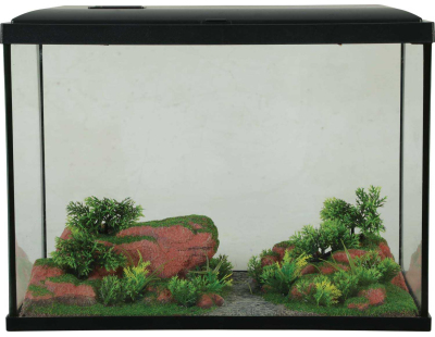 Décor complet pour aquarium 40 cm Landscape (Sol rouge)