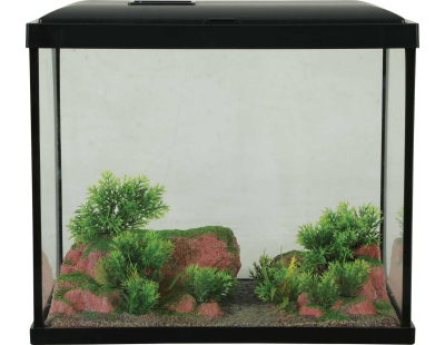 Décor complet pour aquarium 30 cm Landscape (Sol rouge)