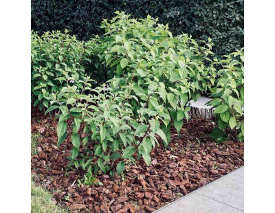 Ecorces de pin maritime 20/40 qualité décor (1800 litres)