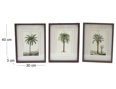Ensemble de 3 cadres 30 x 40 cm Palmiers