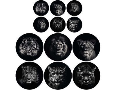 Ensemble sets de table en vinyle 38 cm et dessous de verre King & Queen (Lot de 6 sets de table et de 6 dessous de verre motifs assortis)