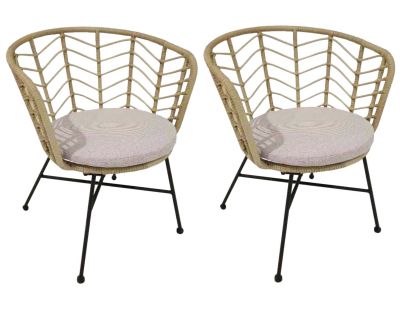 Fauteuil de jardin en acier et résine tressée Holland (Lot de 2)