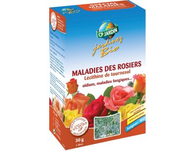 Fongicide naturel contre les maladies des rosiers