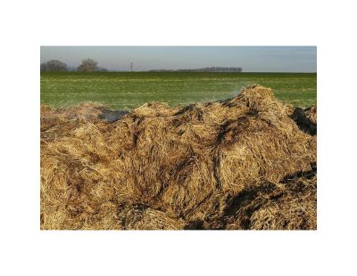 Fumier de cheval biologique 20 kg