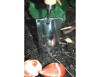 Pelle transplantoir en acier inoxydable et frêne