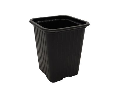 Godet en PVC noir 7.3 x 7.3 x 8 cm (Lot de 50)