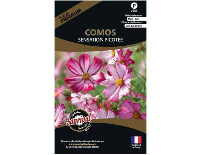 Graines de fleurs premium Cosmos sensation picotée