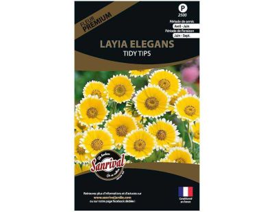 Graines de fleurs premium Layia elegans platyglossa