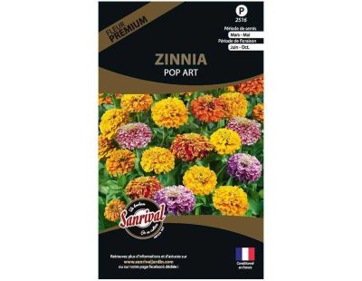 Graines de fleurs premium Zinnia pop art