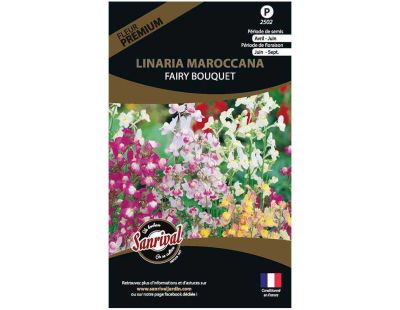 Graines de fleurs premium linaria fairy bouquet
