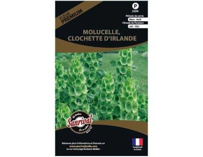 Graines de fleurs premium molucelle clochette d’Irlande