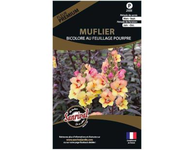 Graines de fleurs premium muflier bicolore feuillage pourpre