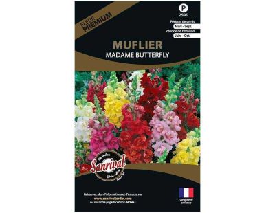 Graines de fleurs premium muflier madame butterfly