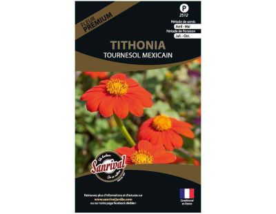 Graines de fleurs premium tithonia tournesol mexicain