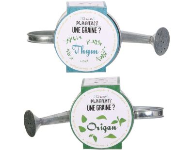 Graines à planter aromates avec arrosoirs (Lot de 2)