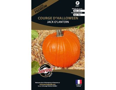 Graines potagères premium Courge (D'Halloween)