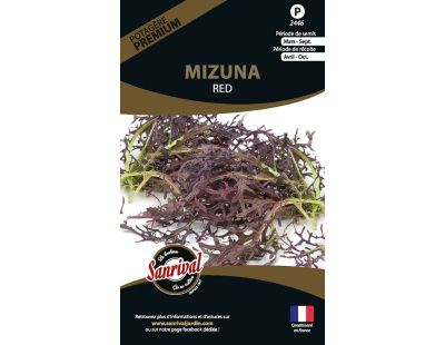 Graines potagères premium Mizuna rouge