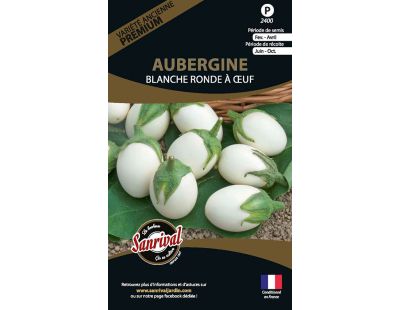 Graines potagères premium aubergine (Ronde à oeuf)