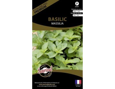 Graines potagères premium basilic Massilia