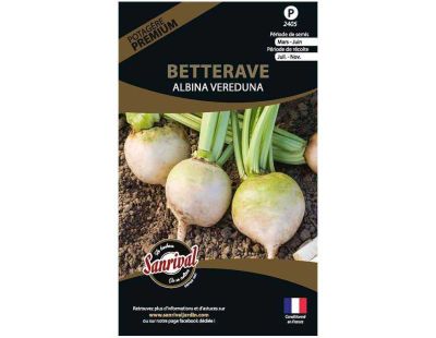 Graines potagères premium betterave (Albina Vereduna)