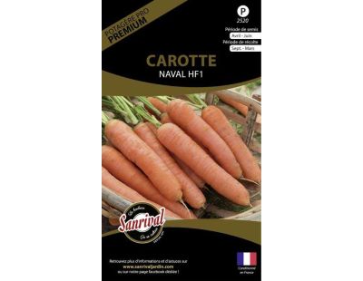 Graines potagères premium carotte (Naval)