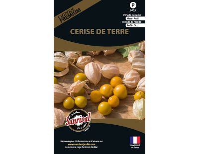 Graines potagères premium cerise de terre