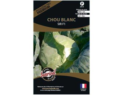 Graines potagères premium chou (Chou blanc Sir)