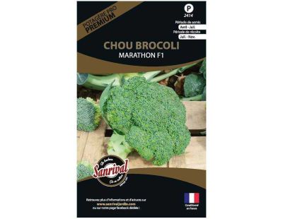 Graines potagères premium chou (Chou brocoli Marathon)