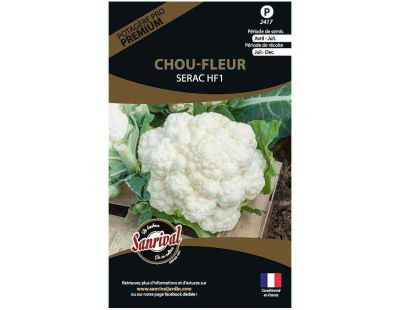 Graines potagères premium chou (Chou fleur blanc Serac)