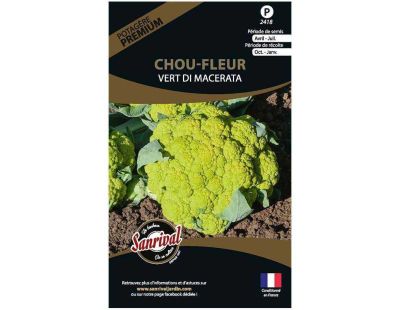 Graines potagères premium chou (Chou fleur vert Di Macerata)