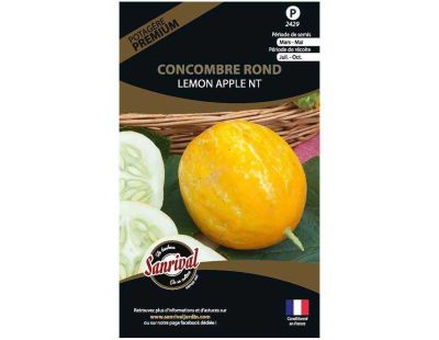 Graines potagères premium concombre rond lemon apple (Rond lemon apple)