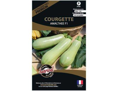 Graines potagères premium courgette (Blanche massue Amalthee)