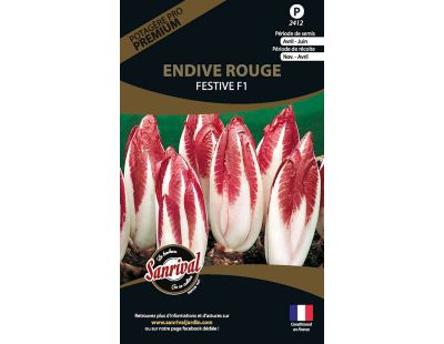 Graines potagères premium endive rouge festive