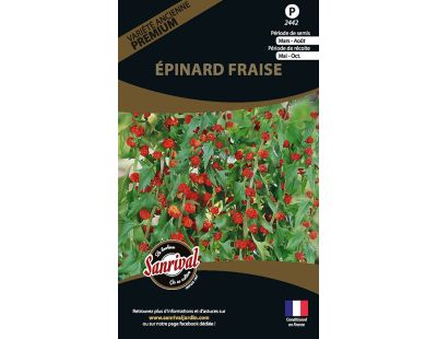 Graines potagères premium épinard fraise