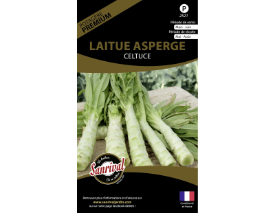 Graines potagères premium laitue (Asperge)