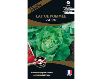 Graines potagères premium laitue (Pommée Justine)